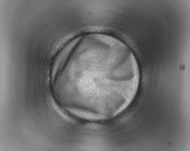 X0000113570633200910091440