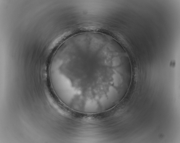 X0000113570634200910091440