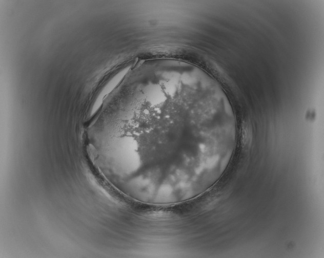 X0000113570637200910091440