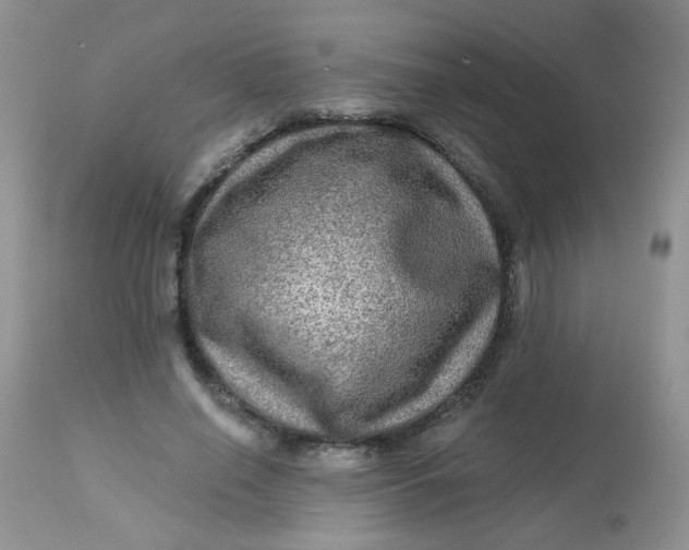 X0000113570638200910091440