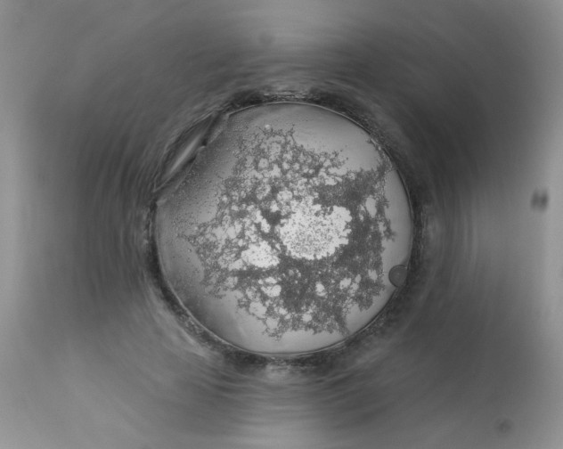 X0000113570641200910091440