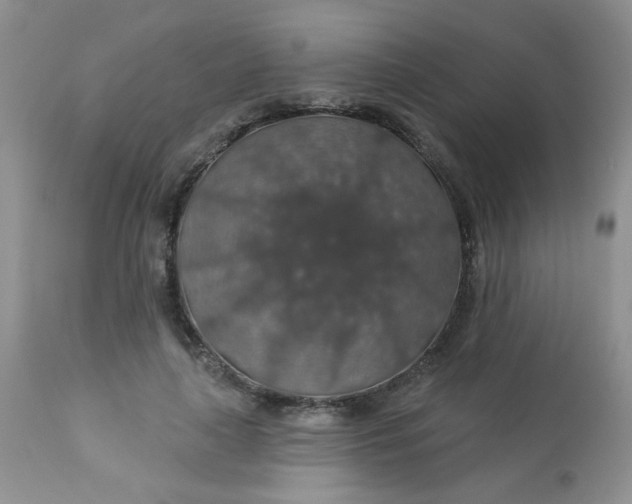 X0000113570643200910091440