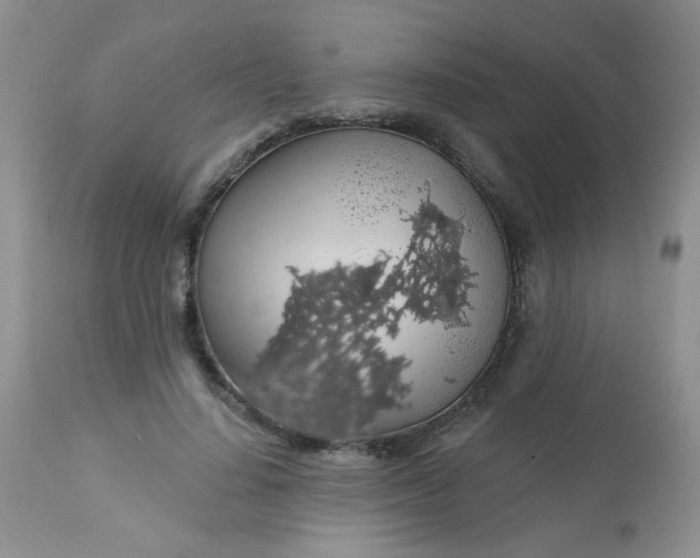 X0000113570644200910091440