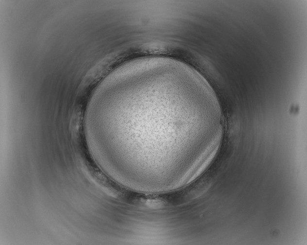 X0000113570645200910091440