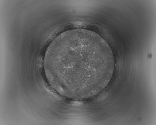 X0000113570649200910091440