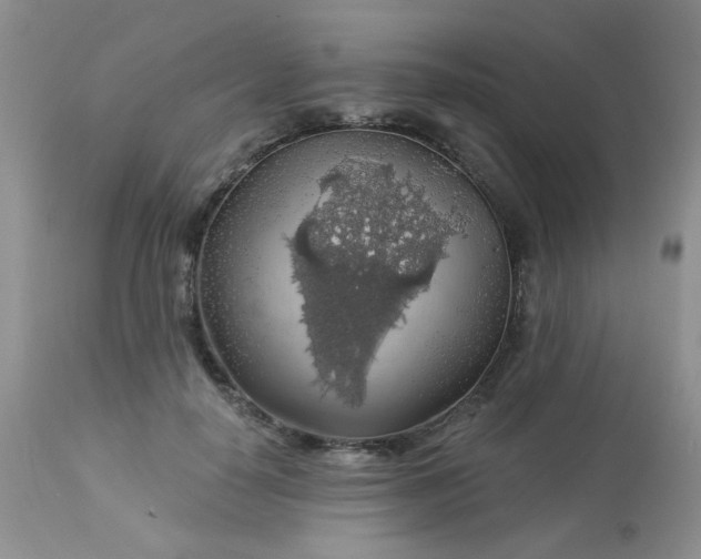 X0000113570650200910091440