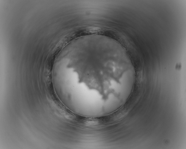 X0000113570653200910091440