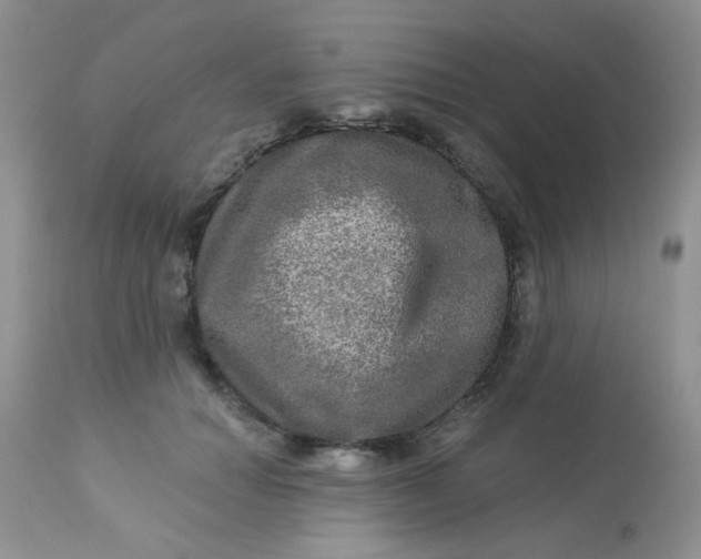 X0000113570654200910091440