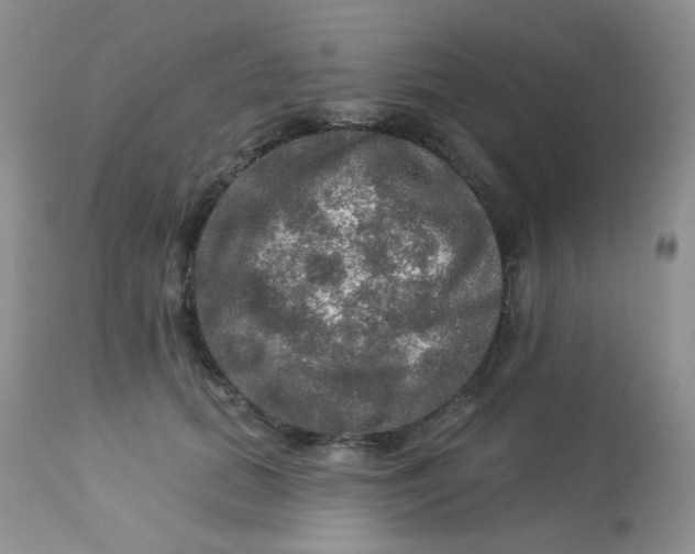 X0000113570655200910091440