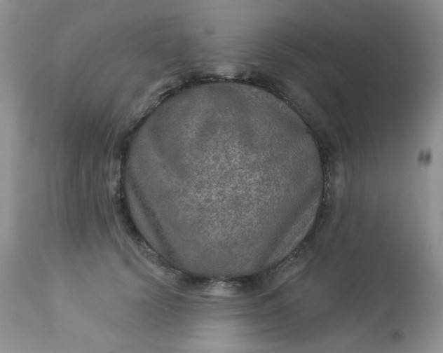 X0000113570656200910091440