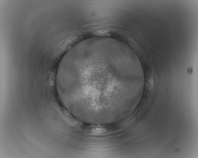 X0000113570658200910091440