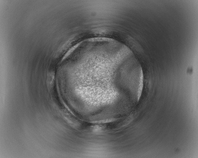 X0000113570660200910091440