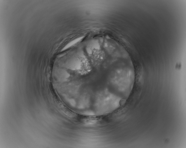 X0000113570661200910091440