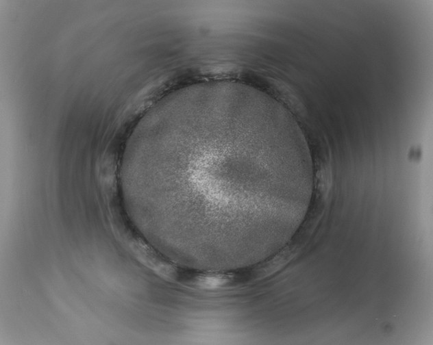 X0000113570662200910091440