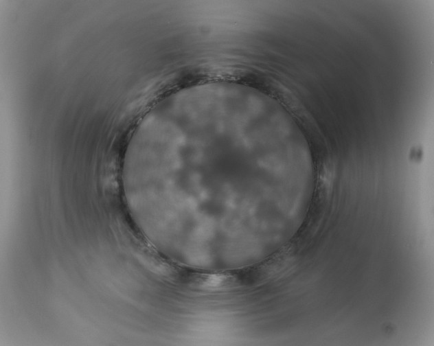 X0000113570663200910091440