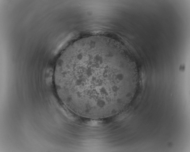 X0000113570664200910091440