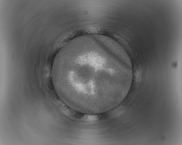 X0000113570665200910091440