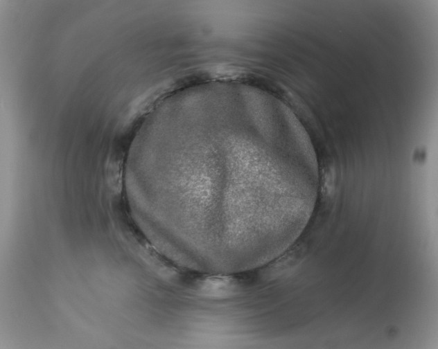 X0000113570666200910091440