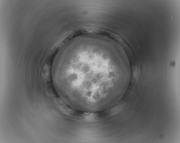 X0000113570667200910091440