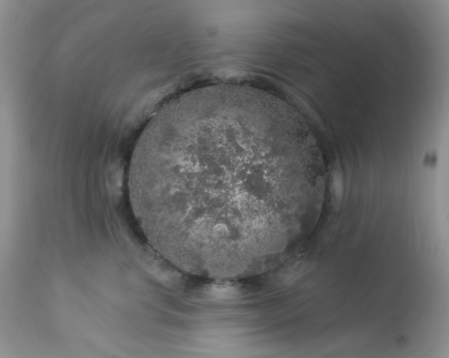 X0000113570668200910091440