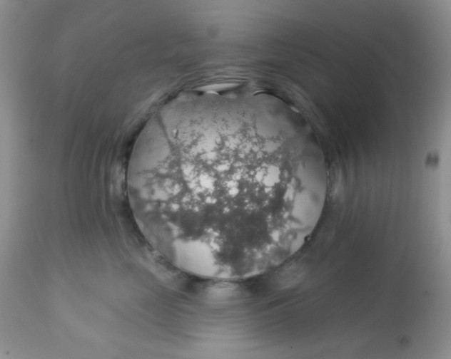 X0000113570669200910091440