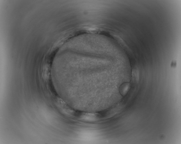 X0000113570671200910091440