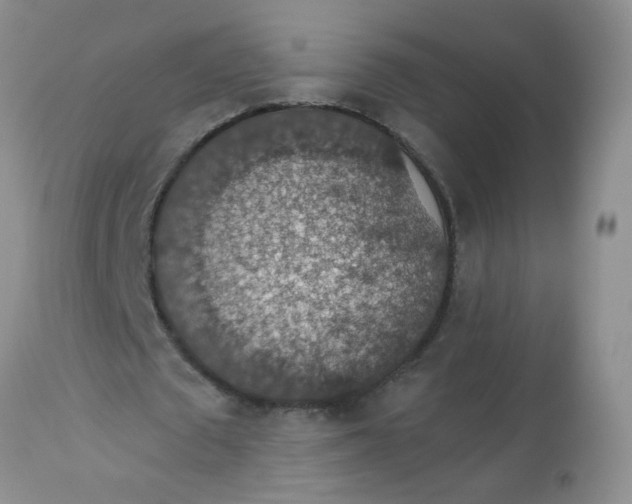 X0000113570673200910091439