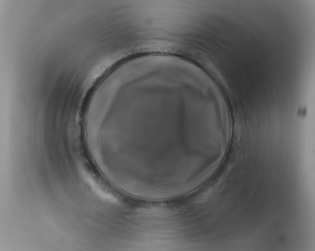 X0000113570674200910091439