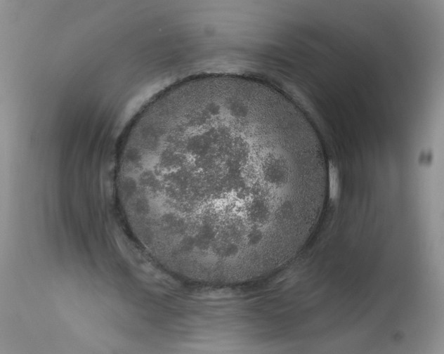 X0000113570675200910091439