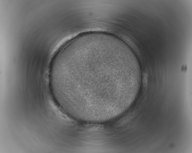 X0000113570676200910091439