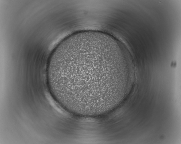 X0000113570677200910091439