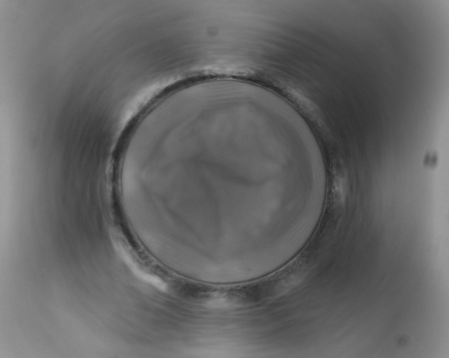 X0000113570678200910091439