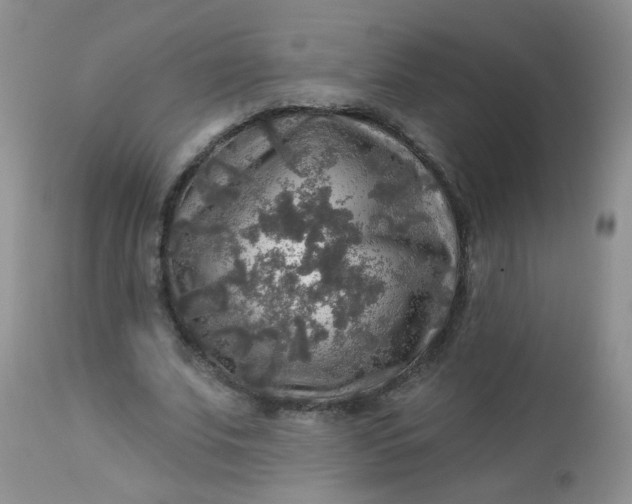 X0000113570679200910091439