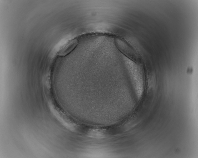 X0000113570680200910091439