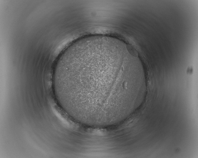 X0000113570683200910091439