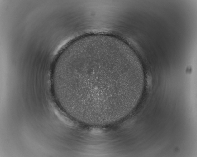 X0000113570684200910091439