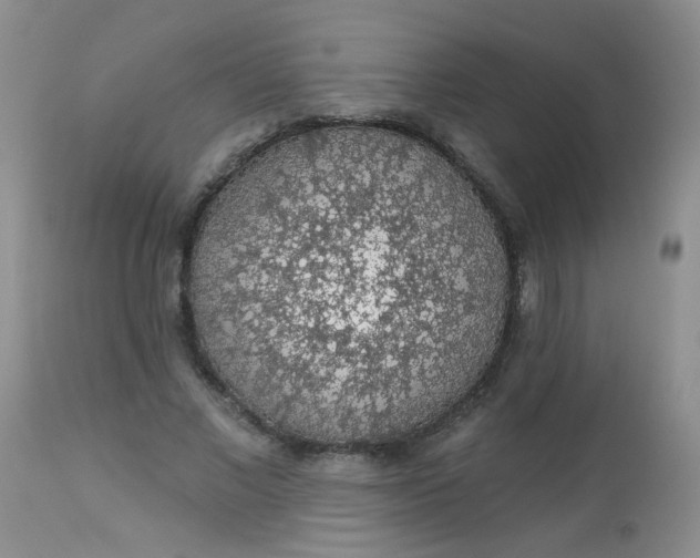 X0000113570685200910091439