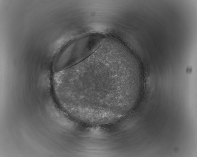 X0000113570688200910091439