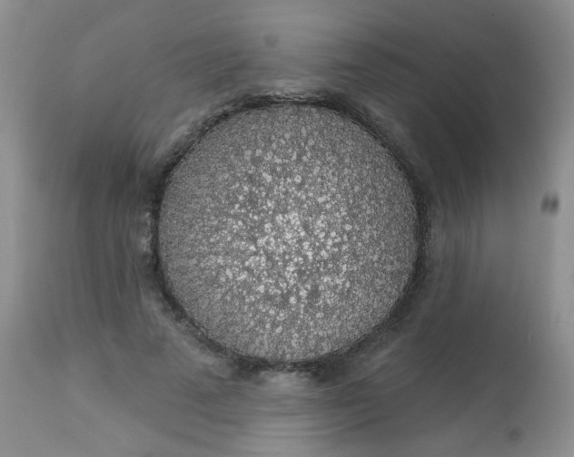 X0000113570689200910091439