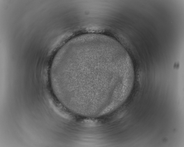 X0000113570690200910091439