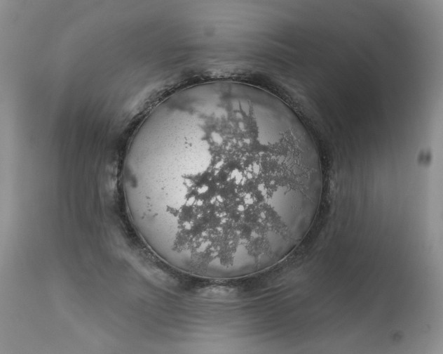 X0000113570691200910091439