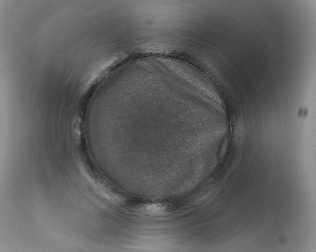 X0000113570692200910091439