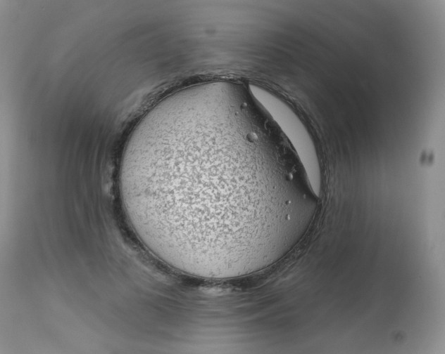 X0000113570693200910091439