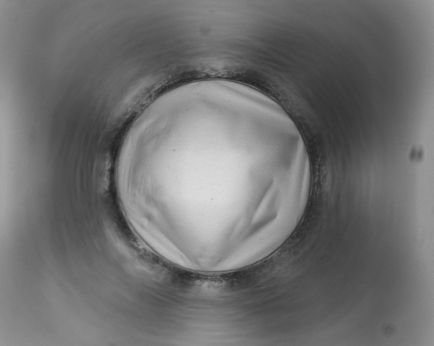 X0000113570694200910091439