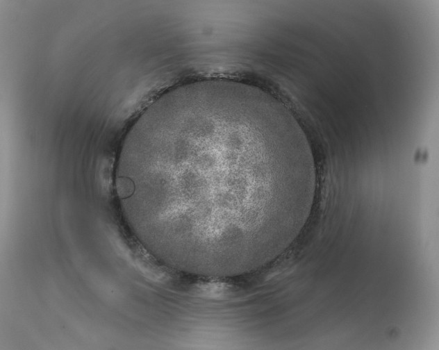 X0000113570695200910091439