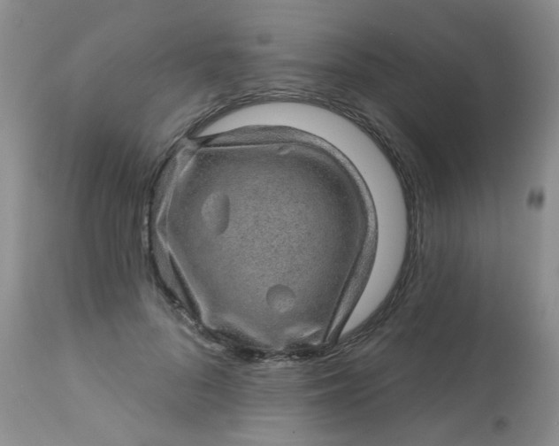 X0000113570696200910091439