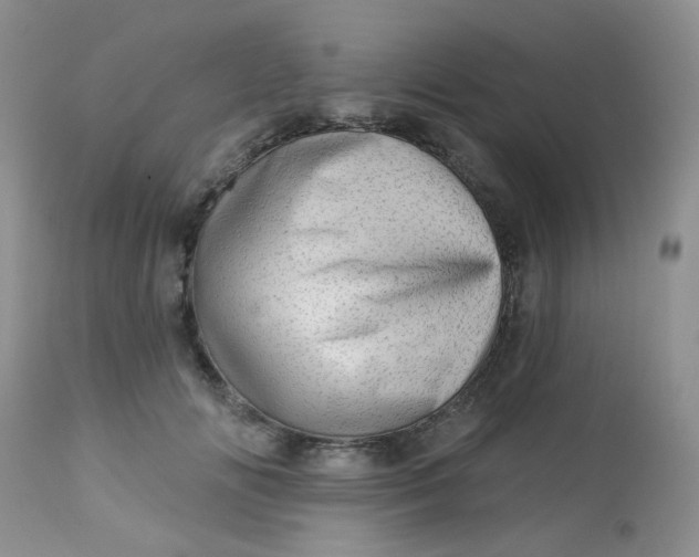 X0000113570702200910091439