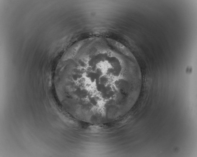 X0000113570703200910091439