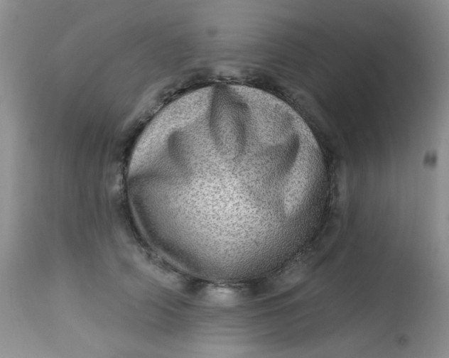 X0000113570706200910091439