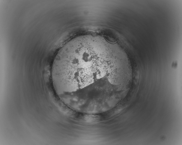 X0000113570707200910091439